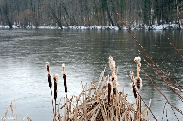 Zoete Water Oud-Heverlee