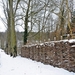 Oud-Herverlee Bos