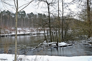 Zoete Water Oud-Heverlee