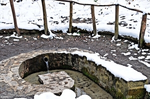 Oud-Herverlee Bos - Waterbron