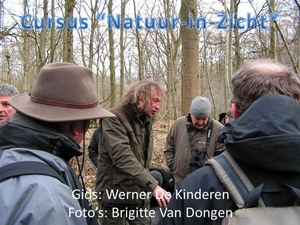 2013-03-16 CURSUS NIZ