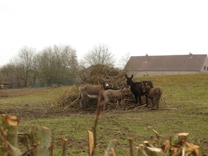 2013-03- 23 Roosdaal  verkenning 3 010