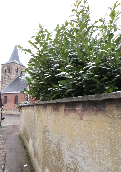 2013-03- 23 Michelbeke 008