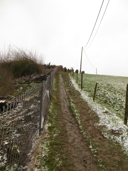 2013-03- 23 Michelbeke 010