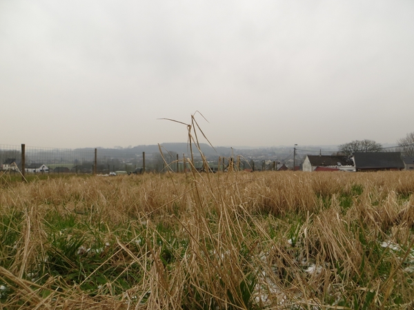 2013-03- 23 Michelbeke 012