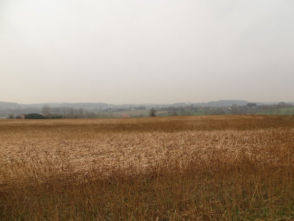 2013-03- 23 Michelbeke 014