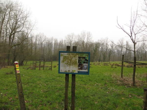2013-03- 23 Michelbeke 019