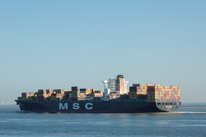 msc marina