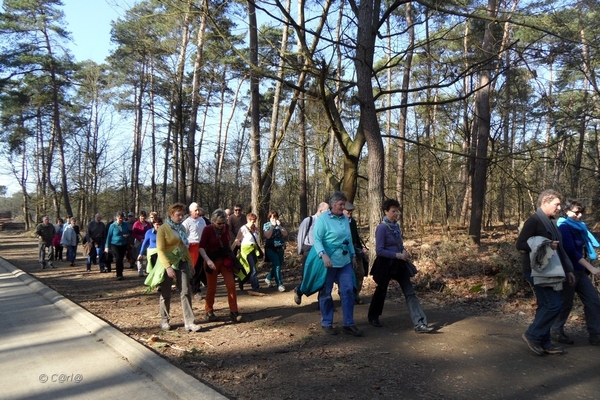 2013-03-05 JanMed Geel (17)