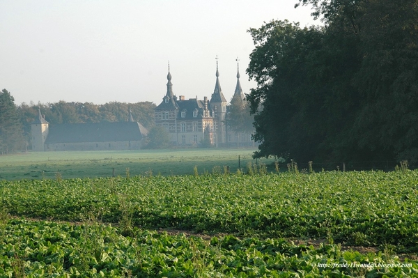 DSC_0031 (2)kopie [1024x768]