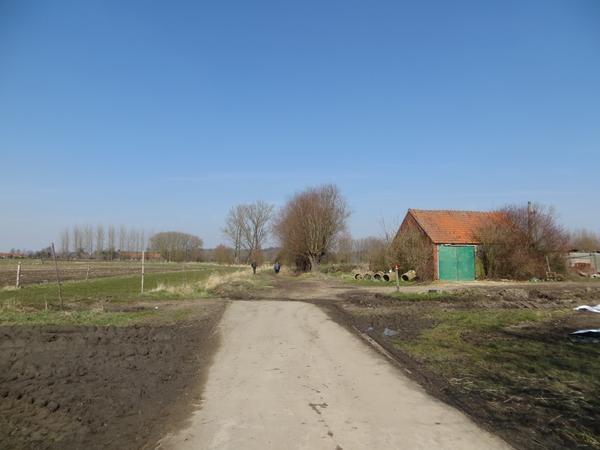 2013-03- 27 Zingem 003