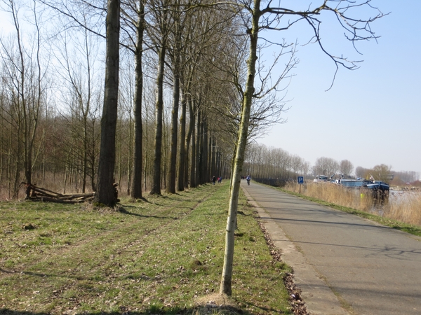 2013-03- 27 Zingem 012