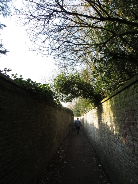 2013-03- 27 Zingem 014