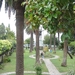 CORFU 2008