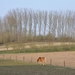 057-Panoramisch landschap in Roosdaal