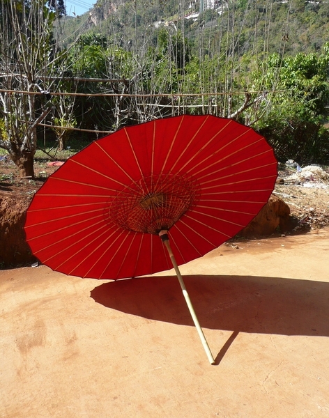 P1050298