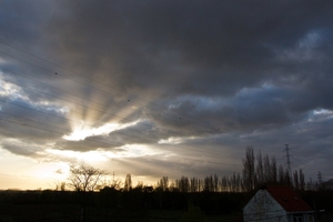 DSC00921