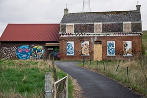 DSC00941
