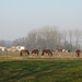 2013-04 01 Evergem 015