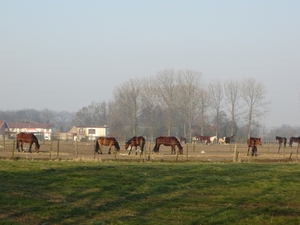 2013-04 01 Evergem 015