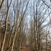 2013-04 01 Evergem 020