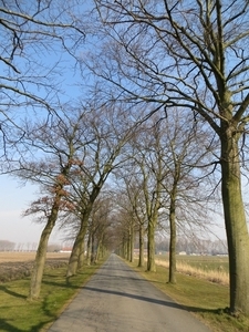 2013-04 01 Evergem 023