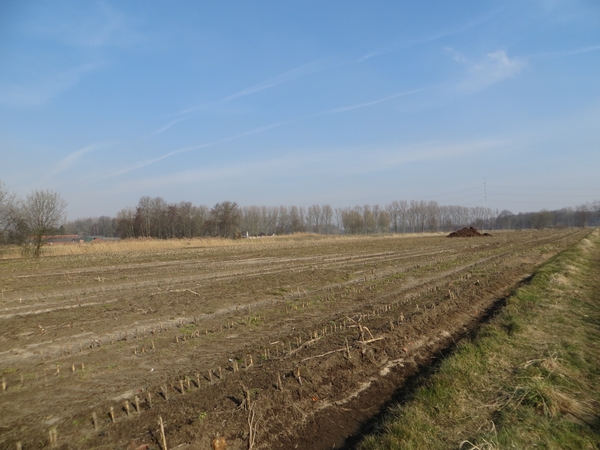 2013-04 01 Evergem 026