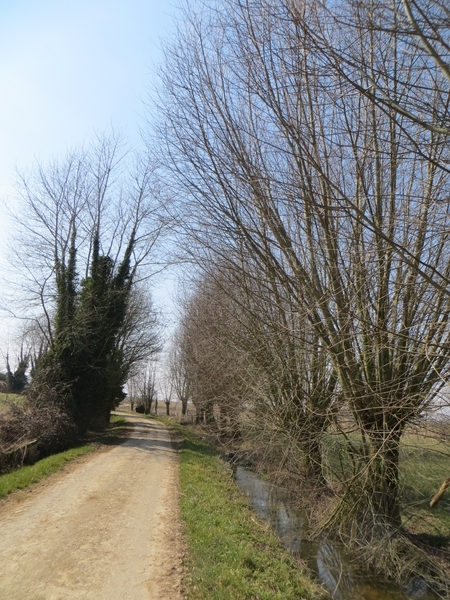 2013-04 Kemmel 024