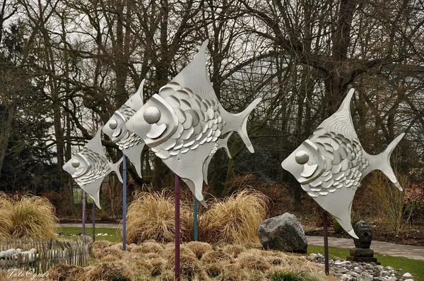 Pairi Daiza 2013 30 maart-72