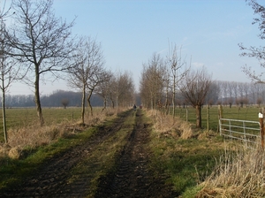 Evergem April 2013 004