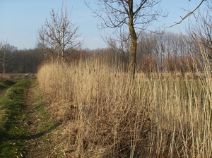 Evergem April 2013 006