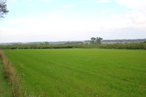 Vierdaagse van de IJzer 2008 019