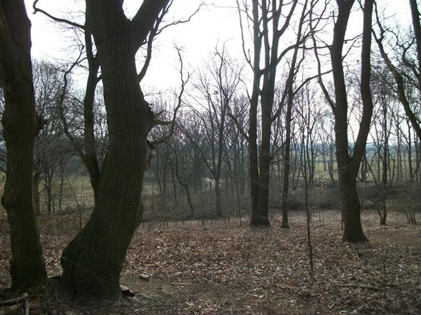 26-Zicht op vallei Hoge Berg