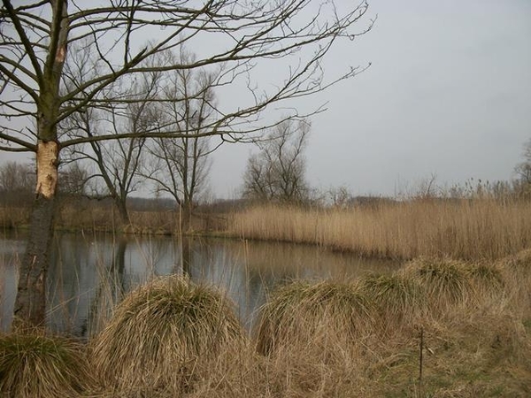 52-Berlarebroek-Oude turfputten