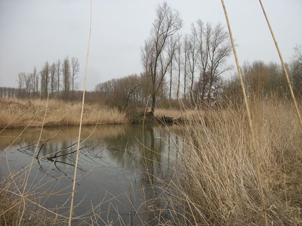 55-Natuurgebied Berlarebroek