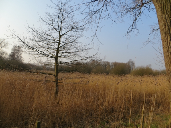 2013-04 03 Mariakerke 003