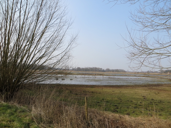 2013-04 03 Mariakerke 027