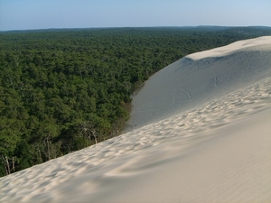 Atlantic zuid _Dune du Pyla, naast het woud