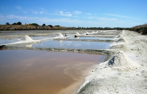 Atlantic zuid _Ile de Re, zoutwinning