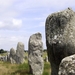 Bretagne _Carnac menhirs