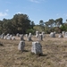 Bretagne _Menhirs gelijnd