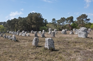 Bretagne _Menhirs gelijnd