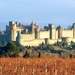 Pyreneeen omg _Carcassonne