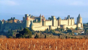 Pyreneeen omg _Carcassonne