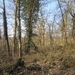 Wandeling in Kanne 7-4-2013 030