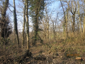 Wandeling in Kanne 7-4-2013 030