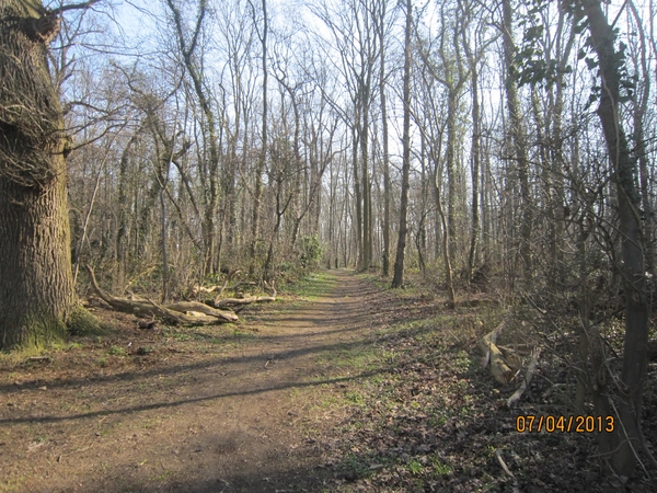 Wandeling in Kanne 7-4-2013 033