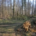Wandeling in Kanne 7-4-2013 035