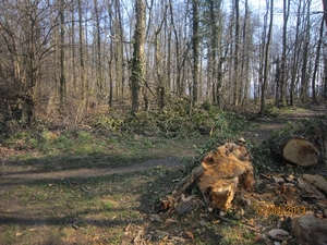 Wandeling in Kanne 7-4-2013 035