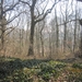 Wandeling in Kanne 7-4-2013 038